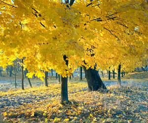 Similar image 1112282