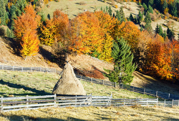 Similar image 1112303