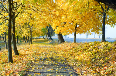 Similar image 1112308