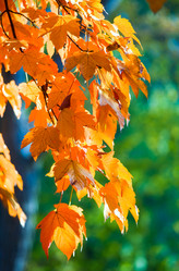 Similar image 1112311