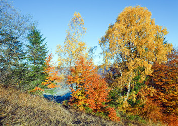 Similar image 1112317