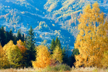 Similar image 1112319