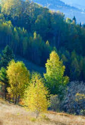 Similar image 1112320