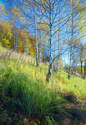 Similar image 1112321