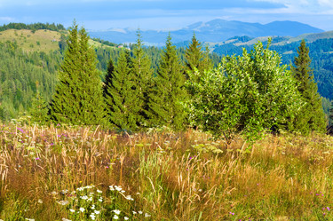 Similar image 1112341