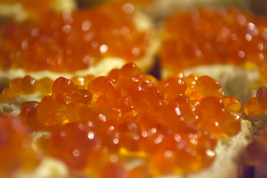 Similar image 1112398