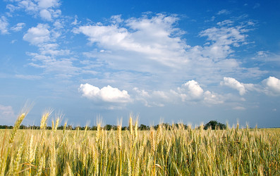 Similar image 1112399