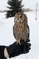 Similar image 1112406