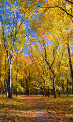 Similar image 1112416