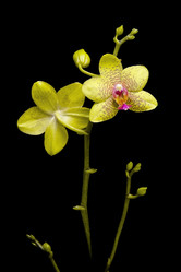 Similar image 1112435