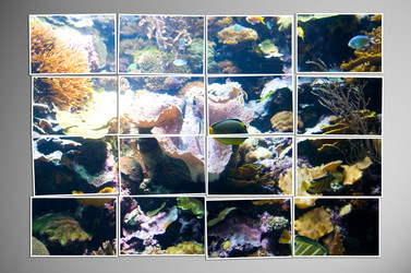 Similar image 1112525