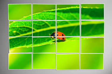 Similar image 1112533