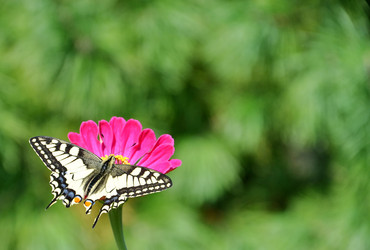 Similar image 1112623