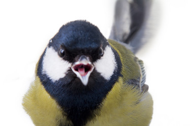 Similar image 1112628