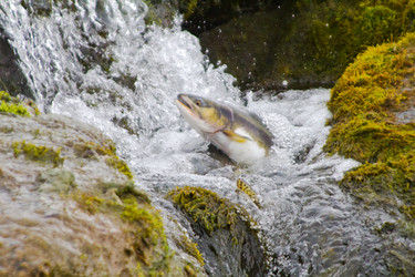 Similar image 1112631