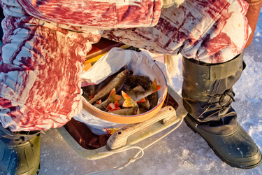 Similar image 1112637