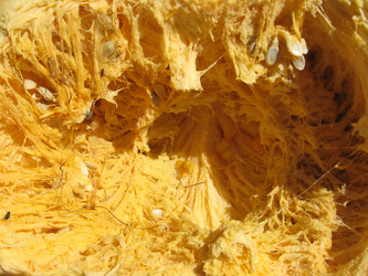 Similar image 1112680