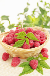 Similar image 1112699