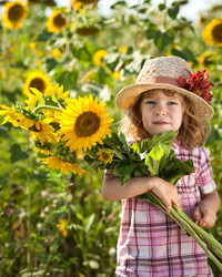 Similar image 1112717