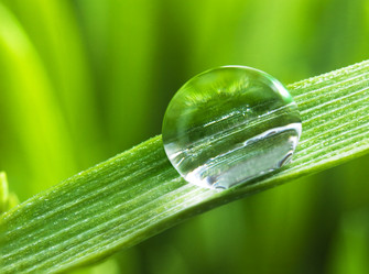 Similar image 1112731