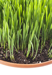 Similar image 1112733