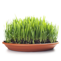 Similar image 1112735