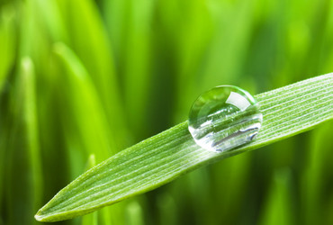 Similar image 1112736