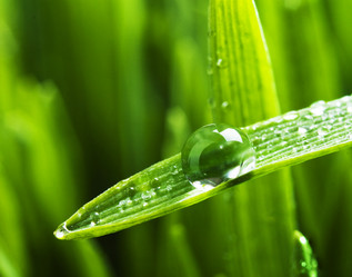 Similar image 1112738