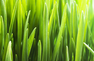 Similar image 1112749