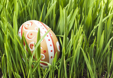 Similar image 1112751