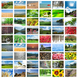 Similar image 1112859