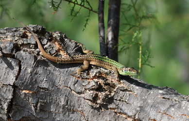 Similar image 1112890