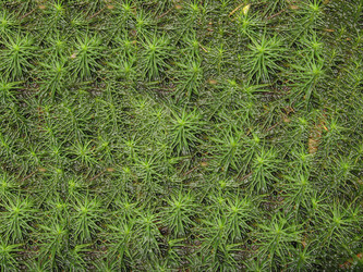 Similar image 1112928