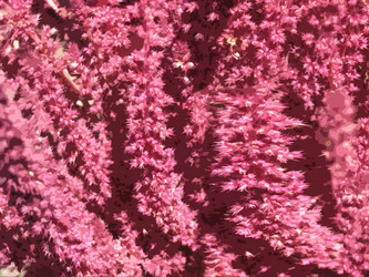 Similar image 1112961