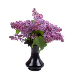 Similar image 1112974