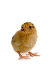 Similar image 1112981