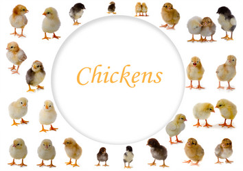 Similar image 1113005