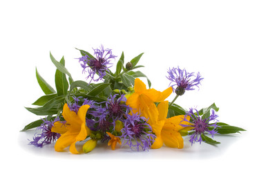 Similar image 1113006