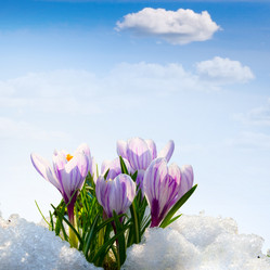 Similar image 1113007