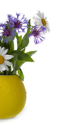 Similar image 1113009