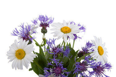 Similar image 1113010