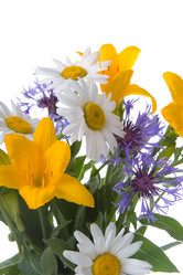 Similar image 1113011