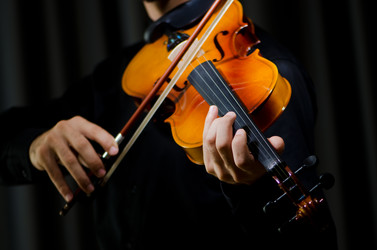 Similar image 1113159