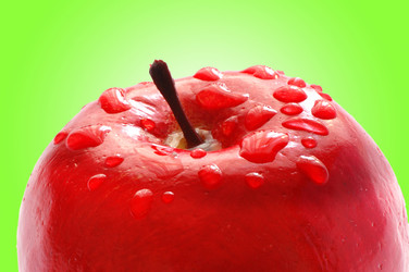 Similar image 1113328