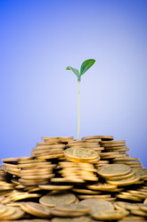 Similar image 1113350