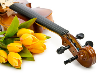 Similar image 1113448