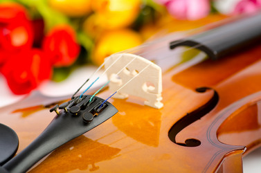 Similar image 1113470