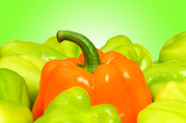 Similar image 1113542