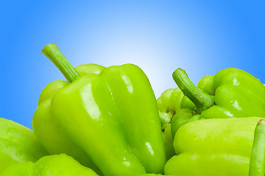 Similar image 1113629