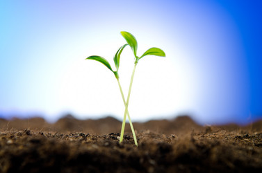 Similar image 1113766